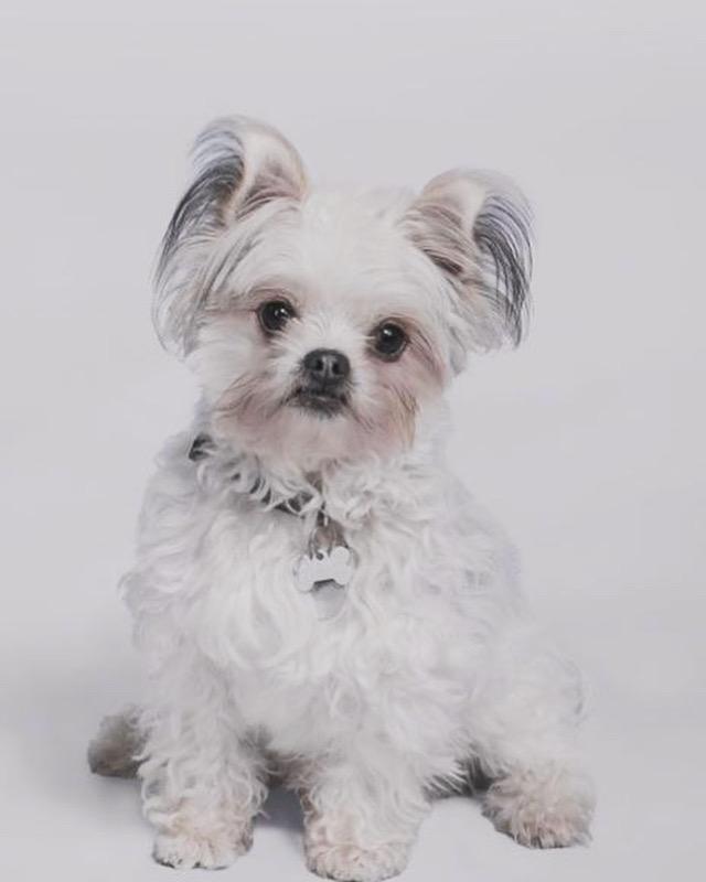 Oskar 1